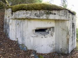 Ligne Maginot - PONT DU THIERET SUD - (Blockhaus pour canon) - 