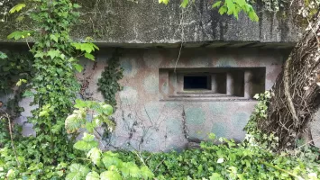 Ligne Maginot - OBSERVATOIRE EST DES CERISIERS - (Blockhaus pour arme infanterie) - Le camouflage 'petit pois' commun au blockhaus du secteur est ici bien visible
