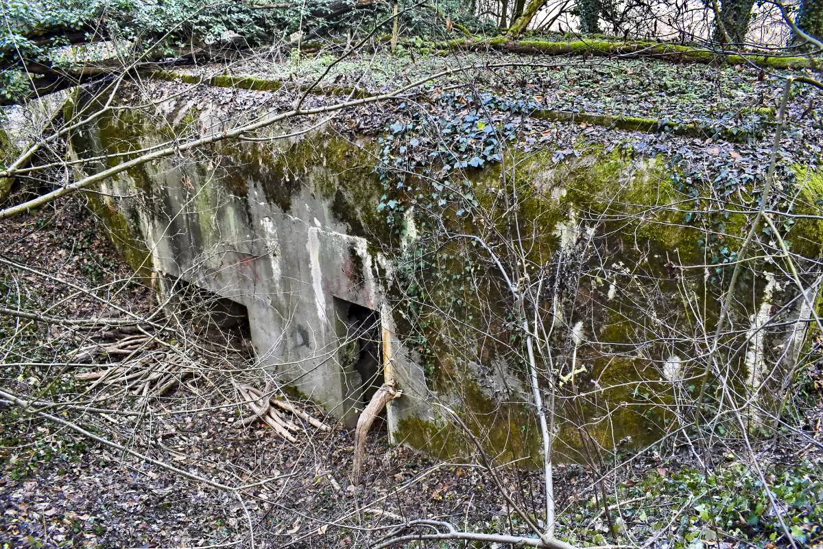 Ligne Maginot - PA DE SIERENTZ OUEST 1 - (Blockhaus pour canon) - Vue sur les entrées