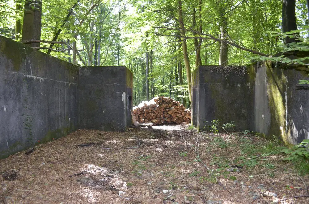 Ligne Maginot - STRENGWALD (BATTERIE DU) - (Position d'artillerie préparée) - Encuvement 1
Les deux abris à l'entrée sont des petites pièces fermant avec un volet roulant