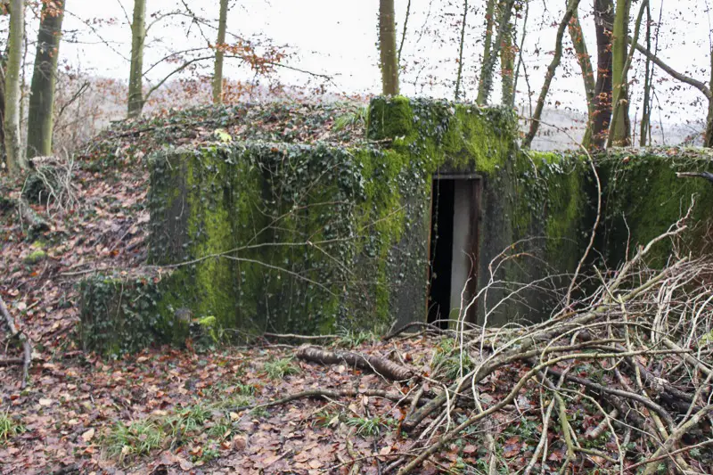 Ligne Maginot - WILLERHOF (BATTERIE DE) - (Position d'artillerie préparée) - Encuvement 1
Soute gauche