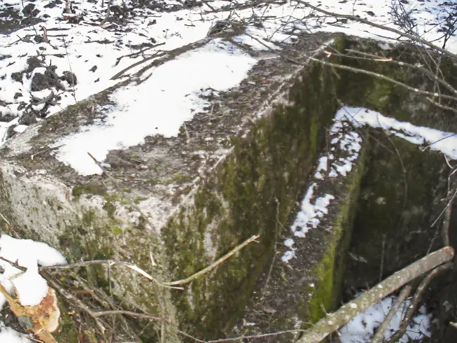 Ligne Maginot - BLOCHMONT SUD - (Blockhaus pour arme infanterie) - Autre vue sur l'entrée principale
On remarquera que la porte horizontale de protection à disparu. L'escalier en béton qui mène au souterrain est toujours la mais enfouit sous la terre.