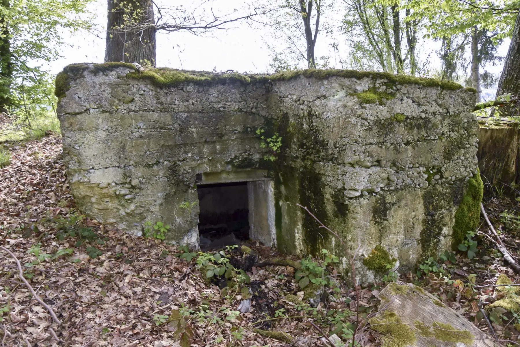 Ligne Maginot - WERENTZHOUSE 1 - (Blockhaus pour arme infanterie) - Façade et entrée coté Nord