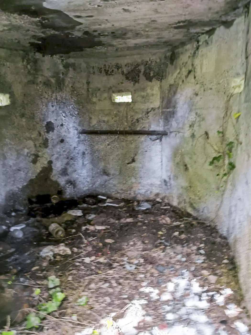 Ligne Maginot - CANAL DE HUNINGUE - (Blockhaus pour arme infanterie) - L'intérieur du blockhaus, vue de l'entrée. On remarque une barre en métal au dessous du créneau central.
