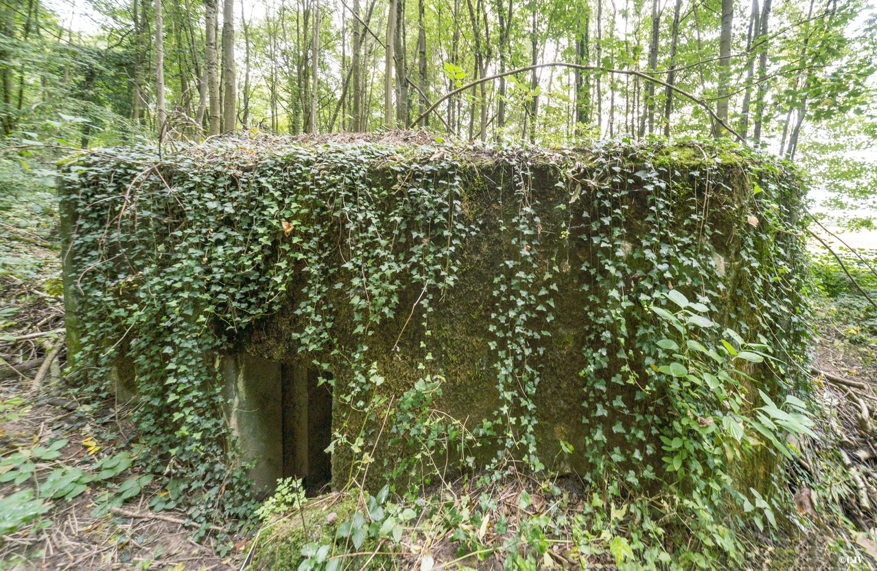 Ligne Maginot - HASELBERG - (Blockhaus pour arme infanterie) - 