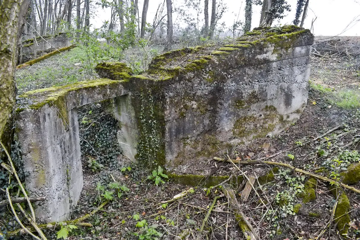 Ligne Maginot - KELLERGRABEN - (Position d'artillerie préparée) - B3 :  Mur nord, sur le dessus emplacement des rondins