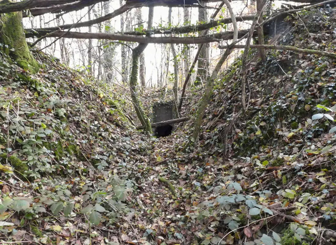 Ligne Maginot - BOIS DE VETRIGNE SUD - (Blockhaus pour arme infanterie) - Tranchée d'accès au départ de la piste