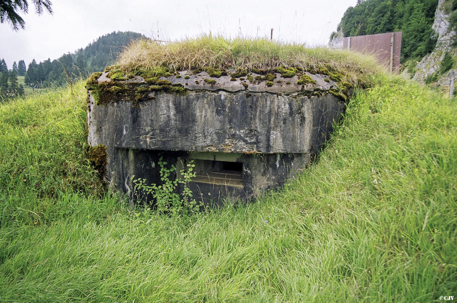 Ligne Maginot - B22 - COTE BRUNE - (Blockhaus pour arme infanterie) - 