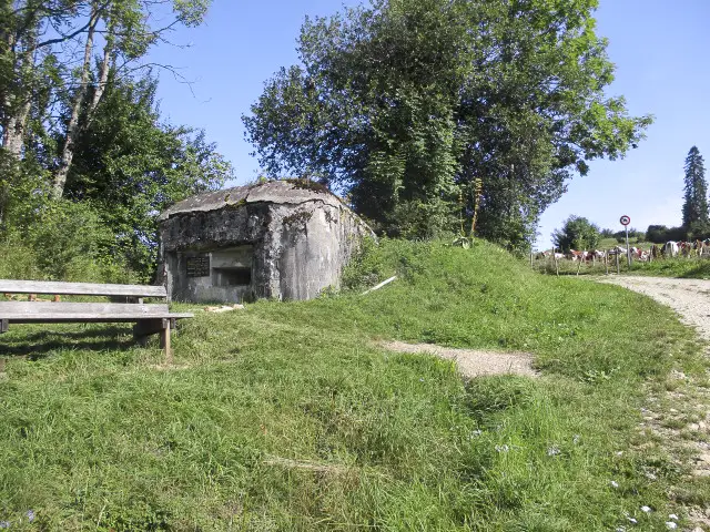 Ligne Maginot - B36 - ABBAYE 1 - (Blockhaus pour arme infanterie) - Blockhaus situé dans son environnement