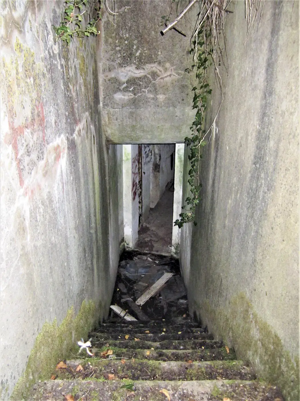 Ligne Maginot - OBSERVATOIRE EST DES CERISIERS - (Observatoire d'artillerie) - Entrée de l'observatoire