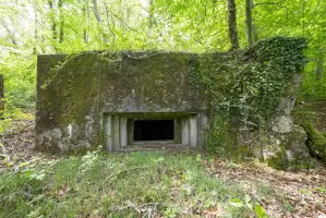 Ligne Maginot - CB137 - NONNENBERG CENTRE - (Blockhaus pour canon) - 