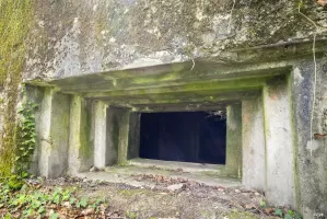 Ligne Maginot - CB137 - NONNENBERG CENTRE - (Blockhaus pour canon) - Le créneau pour canon