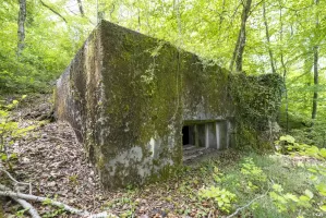 Ligne Maginot - CB137 - NONNENBERG CENTRE - (Blockhaus pour canon) - 