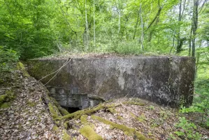 Ligne Maginot - CB137 - NONNENBERG CENTRE - (Blockhaus pour canon) - L'entrée du personnel