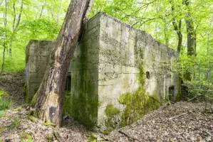 Ligne Maginot - CB441 - (Blockhaus pour arme infanterie) - Face latéral avec l'entrée