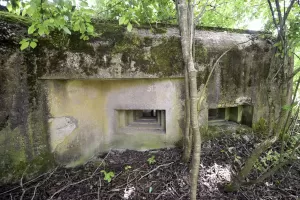 Ligne Maginot - HECKENMUEHLE OUEST - (Blockhaus pour arme infanterie) - 