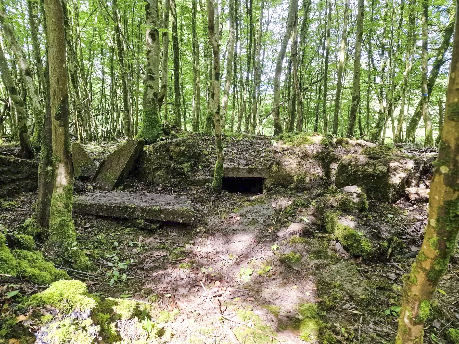 Ligne Maginot - LANGWIESERWALD 1 - (Cuve pour arme d'infanterie) - Reste de double poste de tir avec niche à munitions au milieu