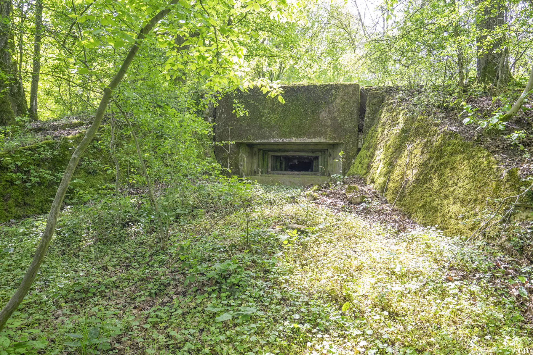 Ligne Maginot - BB3 - BUCHWIESE EST - (Blockhaus pour canon) - Créneau canon frontal