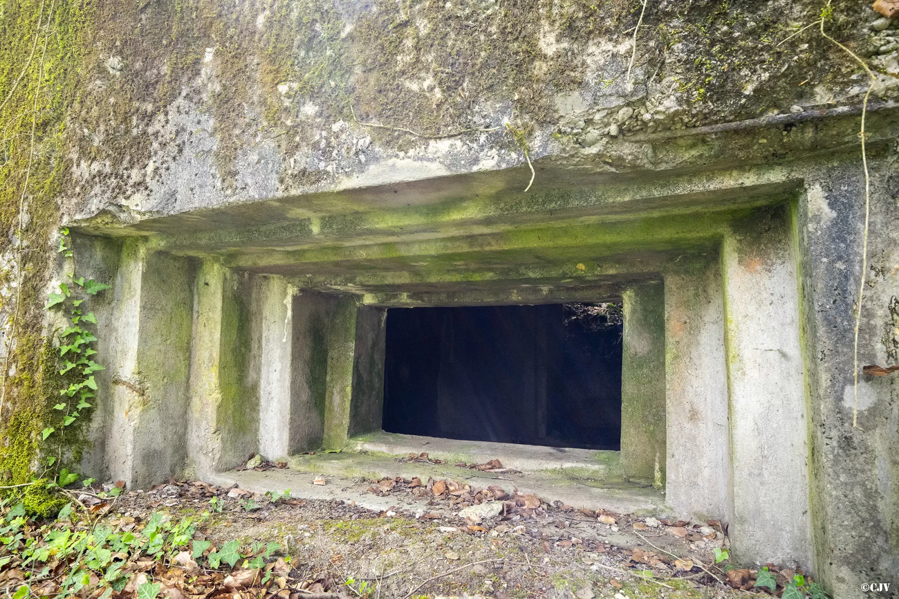 Ligne Maginot - CB137 - NONNENBERG CENTRE - (Blockhaus pour canon) - Le créneau pour canon