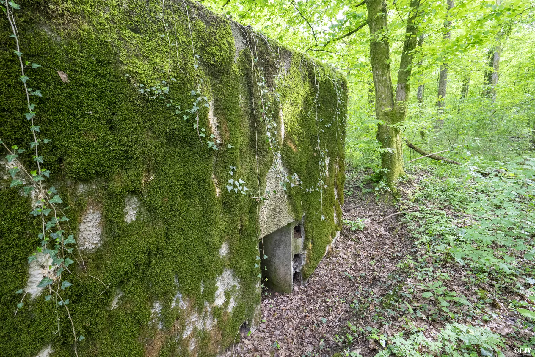 Ligne Maginot - CB440 - PIVELSACKER - (Blockhaus pour canon) - L'entrée du personnel