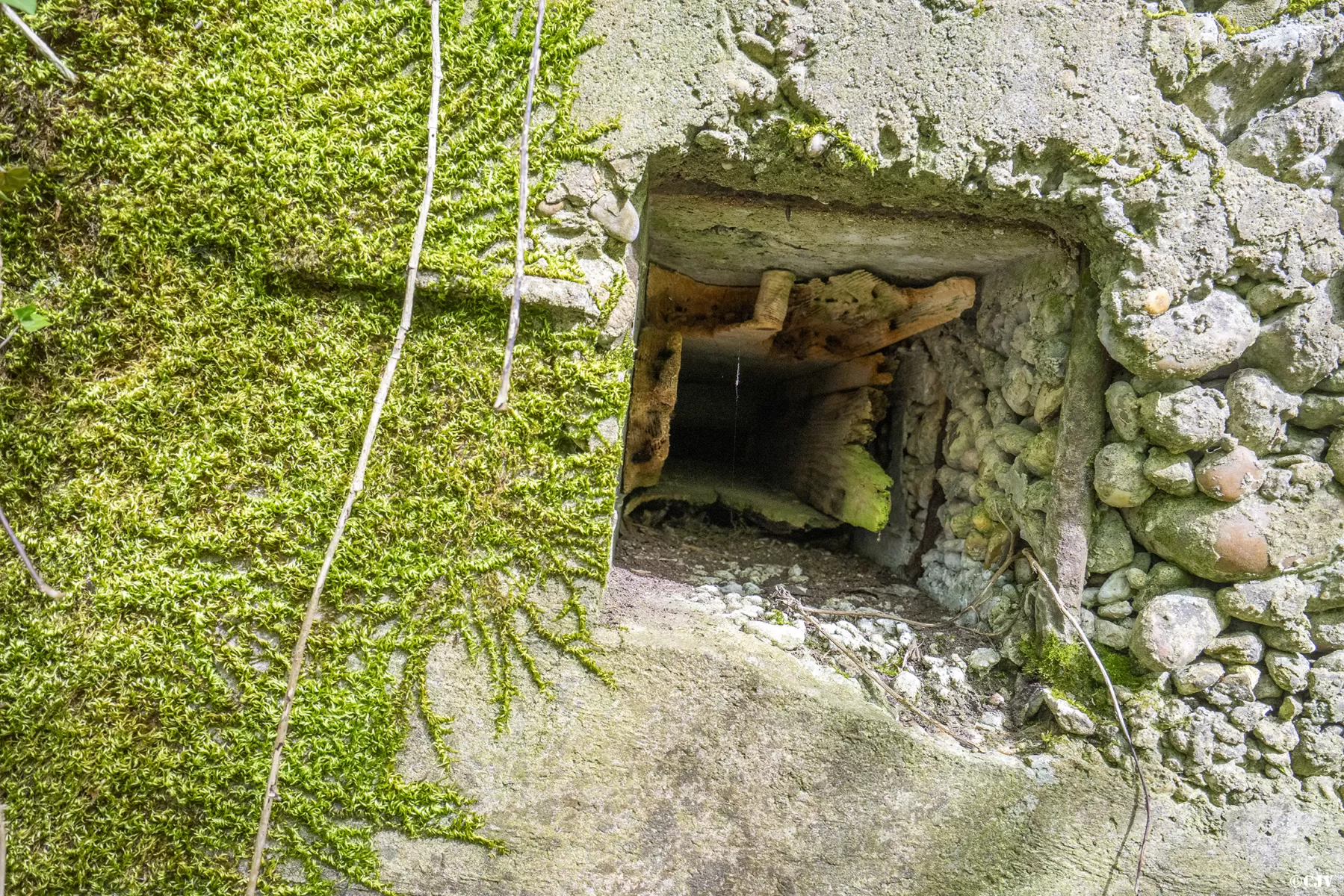 Ligne Maginot - CB441 - (Blockhaus pour arme infanterie) - Le bois du coffrage est toujours présent