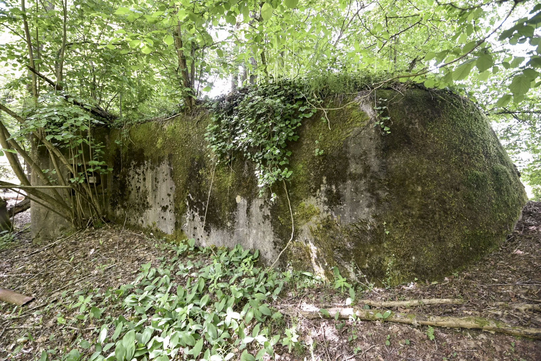 Ligne Maginot - BIBLISHEIM 2 - (Blockhaus pour arme infanterie) - 