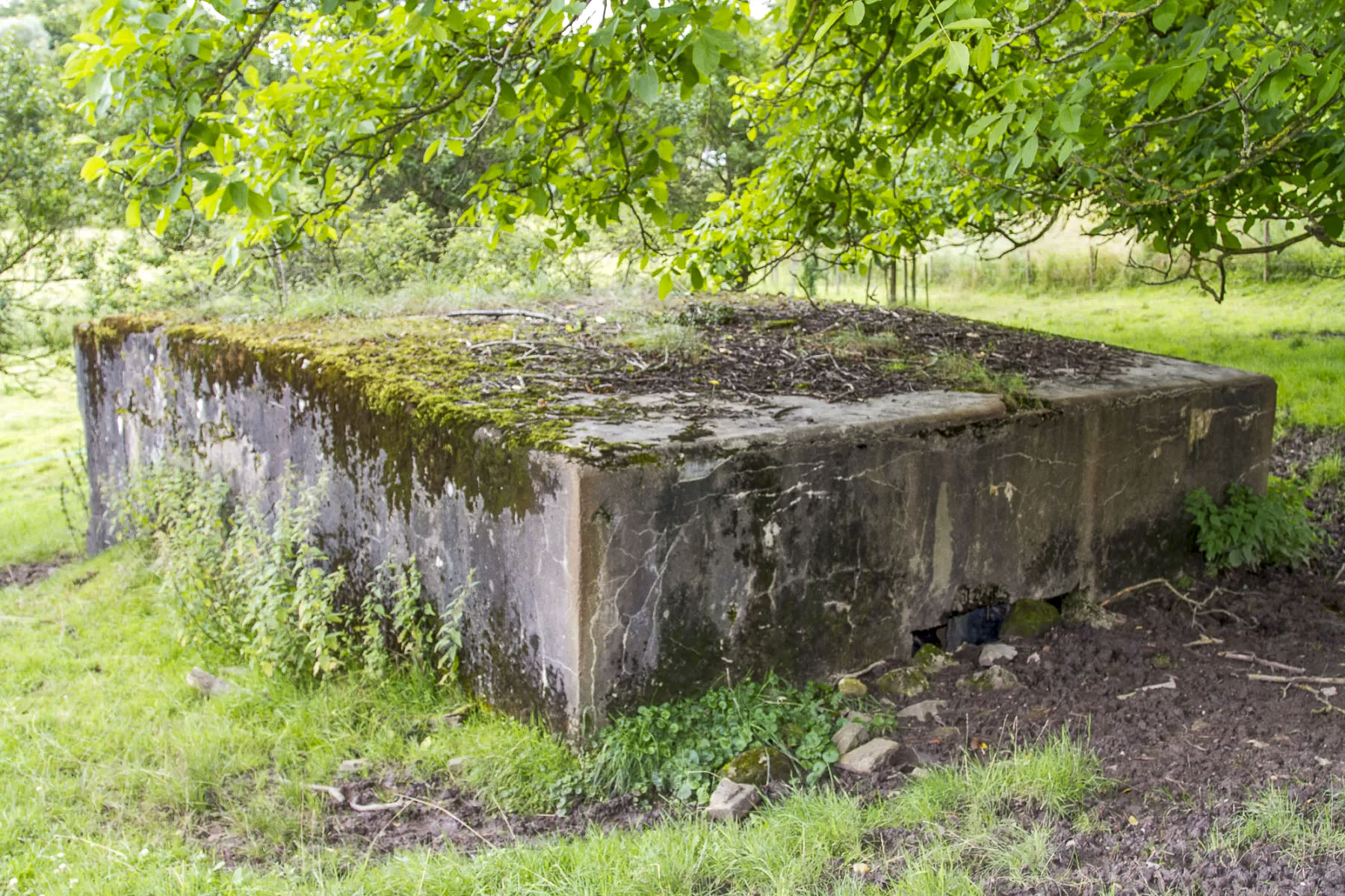 Ligne Maginot - CB614 - INGLANGE SUD - (Blockhaus pour canon) - 