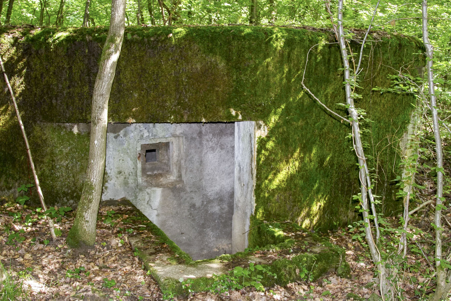 Ligne Maginot - CB444 - RIPPERT - (Poste de Secours) - Entrée de droite