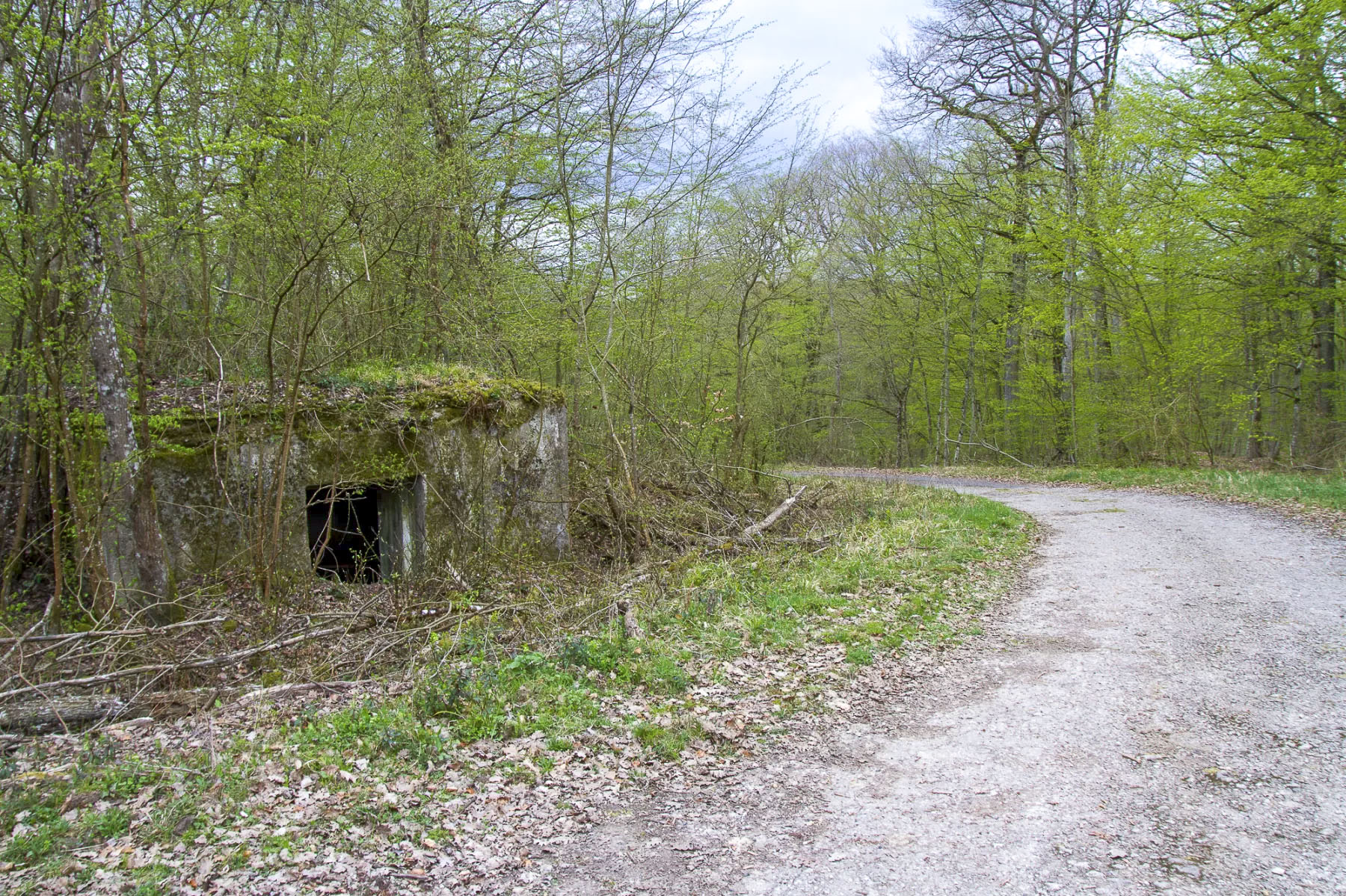 Ligne Maginot - CB174 - (Blockhaus pour canon) - Arrière du blockhaus, vu de la route militaire