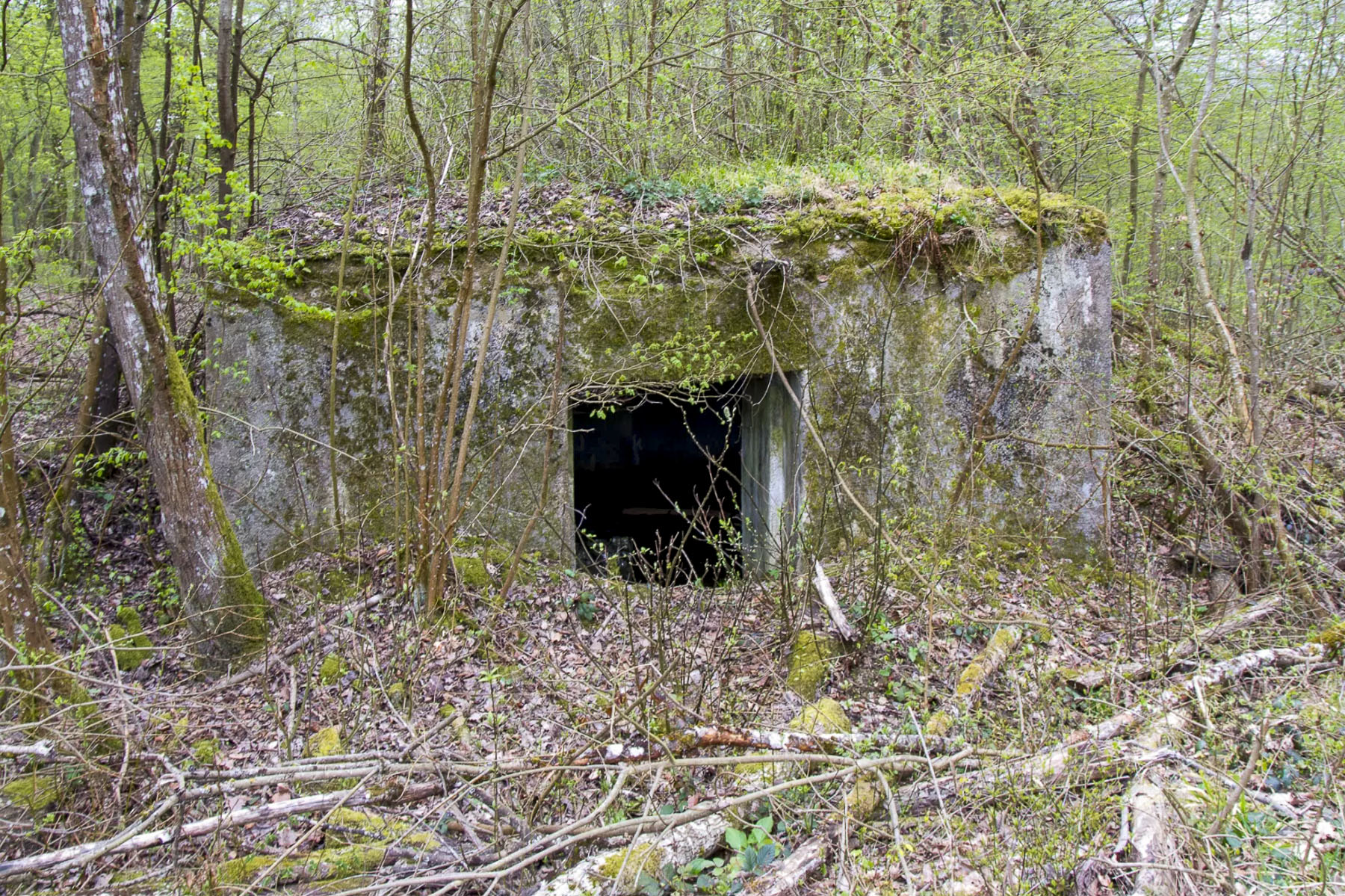 Ligne Maginot - CB174 - (Blockhaus pour canon) - Arrière du blockhaus