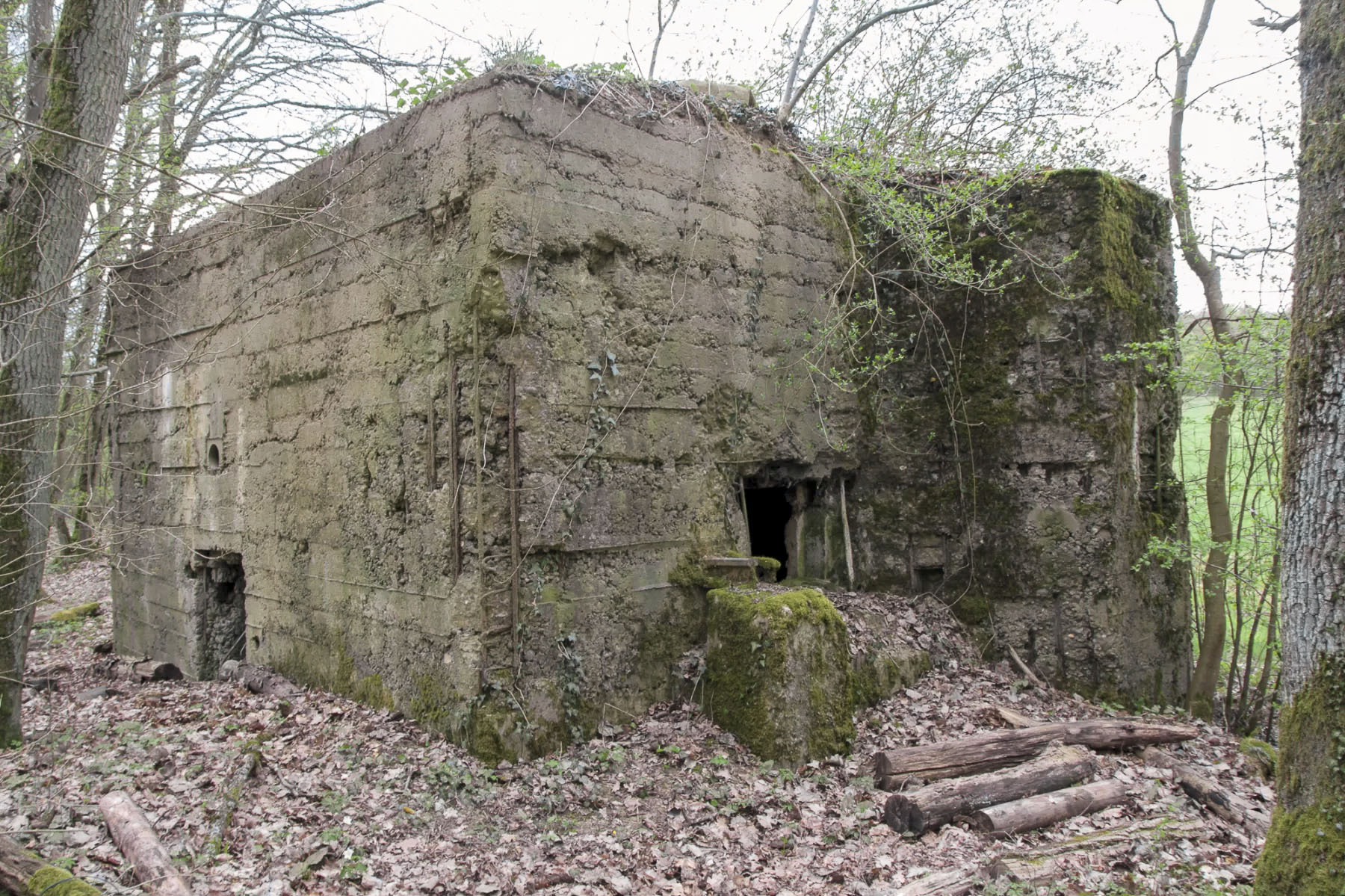 Ligne Maginot - MO-89C - BORNUNGSHOFF 4 - (Blockhaus pour arme infanterie) - 