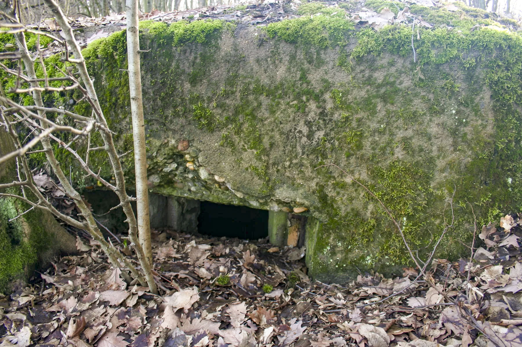 Ligne Maginot - KUHDRECK 5 - (Blockhaus pour arme infanterie) - Créneau de tir