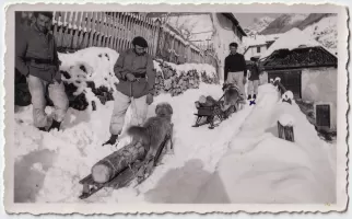 Ligne Maginot - 73° Bataillon Alpin de Forteresse (73° BAF) - Entrainement des chiens, ils sont de corvée de bois