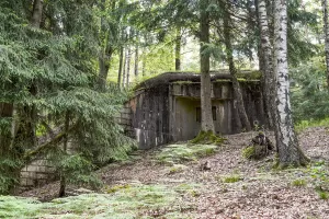 Ligne Maginot - BIESENBERG 3 - (Blockhaus pour arme infanterie) - Vue extérieure
