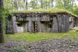 Ligne Maginot - BIESENBERG 2 - (Blockhaus pour arme infanterie) - Vue extérieure