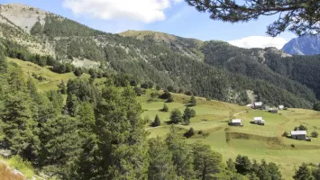 Ligne Maginot - POET MORAND (154° RAP - 6° BIE) - (Position d'artillerie préparée) - Vue générale du site avec les deux emplacements de mortiers sur la gauche et les chalets qui ont servi pour l'hébergement des artilleurs