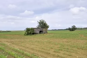 Ligne Maginot - SPIETZHUF OUEST - (Blockhaus pour canon) - 