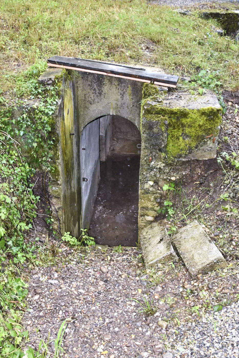 Ligne Maginot - STOECKLE - GOLDGRUBE 1 - (Blockhaus pour arme infanterie) - L'entrée nettoyée