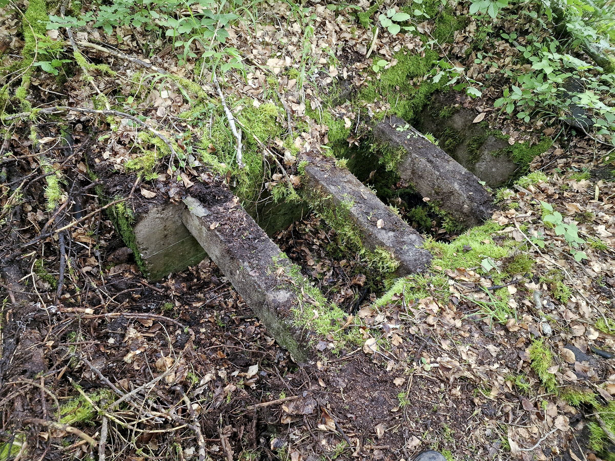 Ligne Maginot - ALTWIESERBACH 6 - (Observatoire indéterminé) - Les restes de la grande niche à munitions au milieu de la tranchée