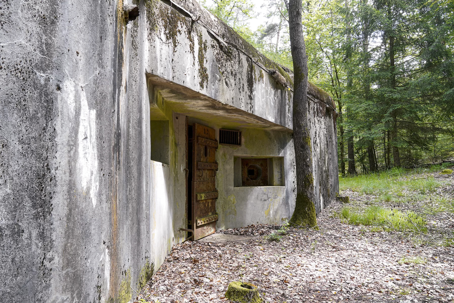 Ligne Maginot - BIESENBERG 3 - (Blockhaus pour arme infanterie) - Entrée
