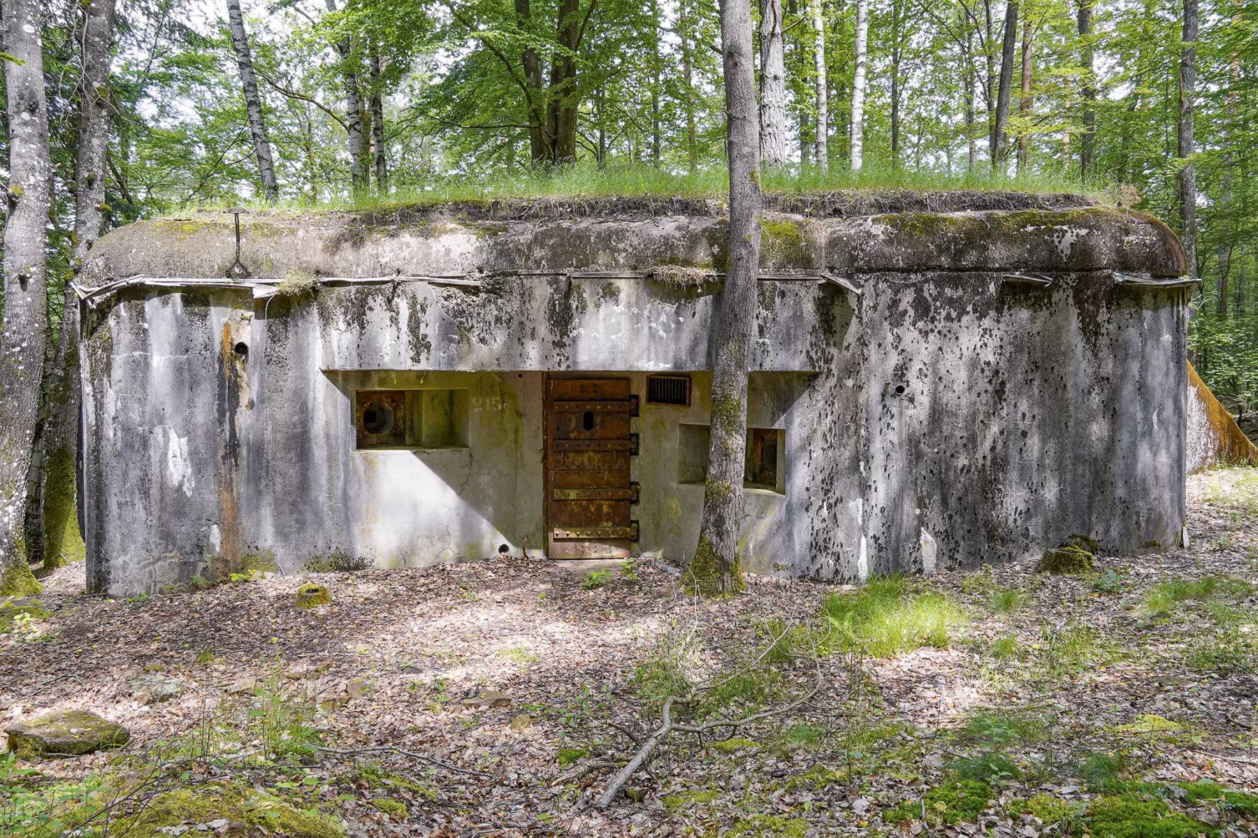 Ligne Maginot - BIESENBERG 3 - (Blockhaus pour arme infanterie) - Vue extérieure
