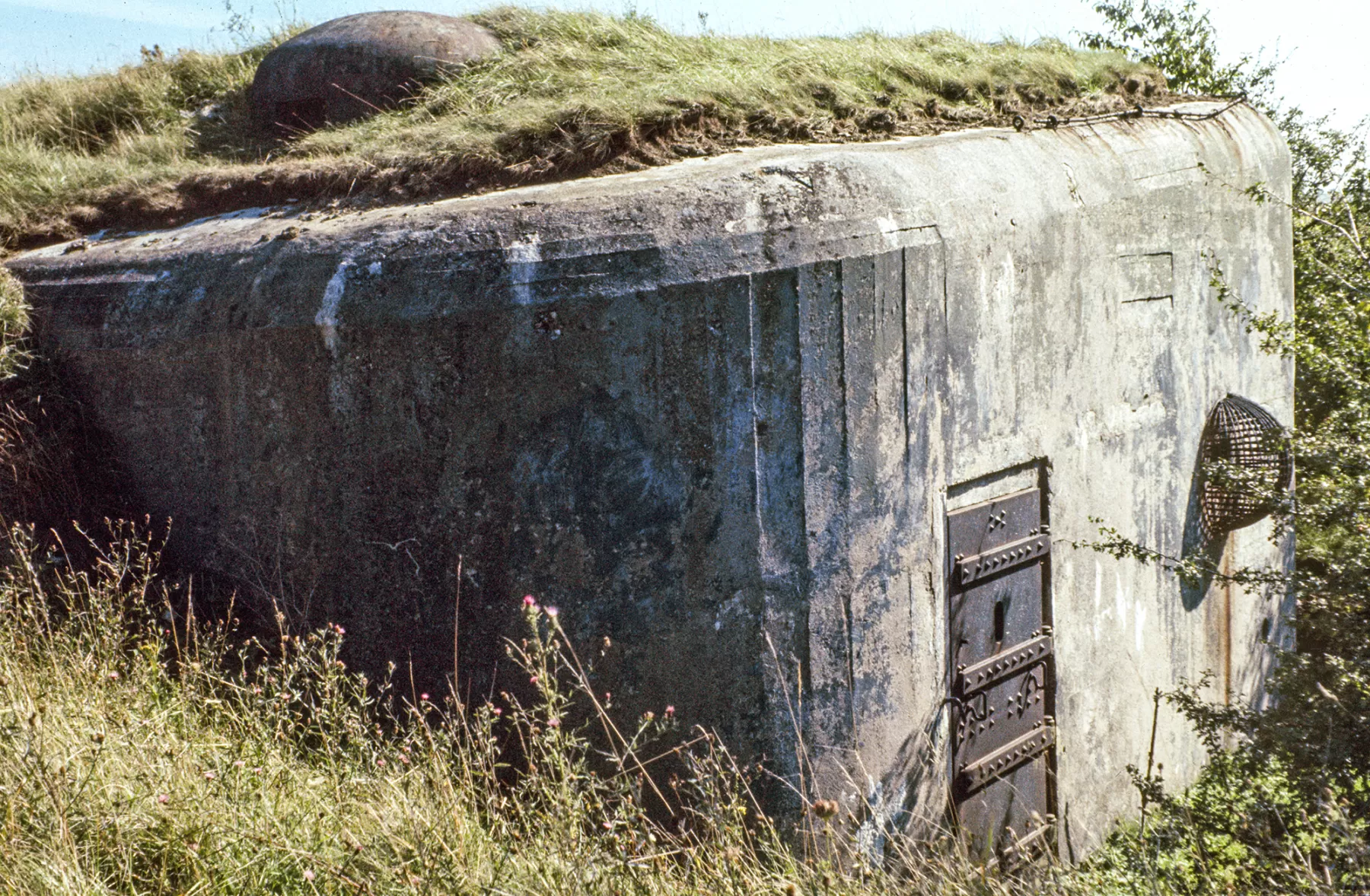 Ligne Maginot - BISTERBERG NORD I - C65 - (Casemate d'infanterie - Simple) - L'entrée gauche