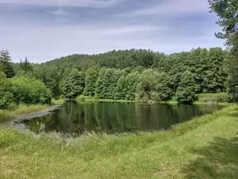 Ligne Maginot - GLASBRONN (ETANG-RéSERVOIR) - (Inondation défensive) - L'étang de Glasbronn