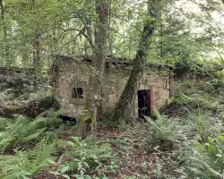 Ligne Maginot - GLASBRONN (ETANG-RéSERVOIR) - (Inondation défensive) - Vestige de l'ancien moulin