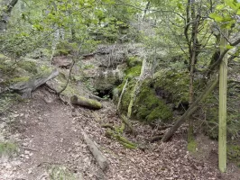 Ligne Maginot - GLASBRONN  - (Abri) - Tranchée d'accès 