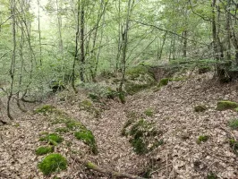 Ligne Maginot - GLASBRONN  - (Abri) - Tranchée vers l'abri