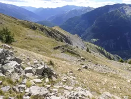 Ligne Maginot - CRÊTE DE LA BLANCHE 1 (POINT D'APPUI) - (Divers) - Restes d'abri