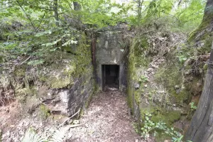 Ligne Maginot - GRAND WOLFSCHACHEN - (Blockhaus pour arme infanterie) - 