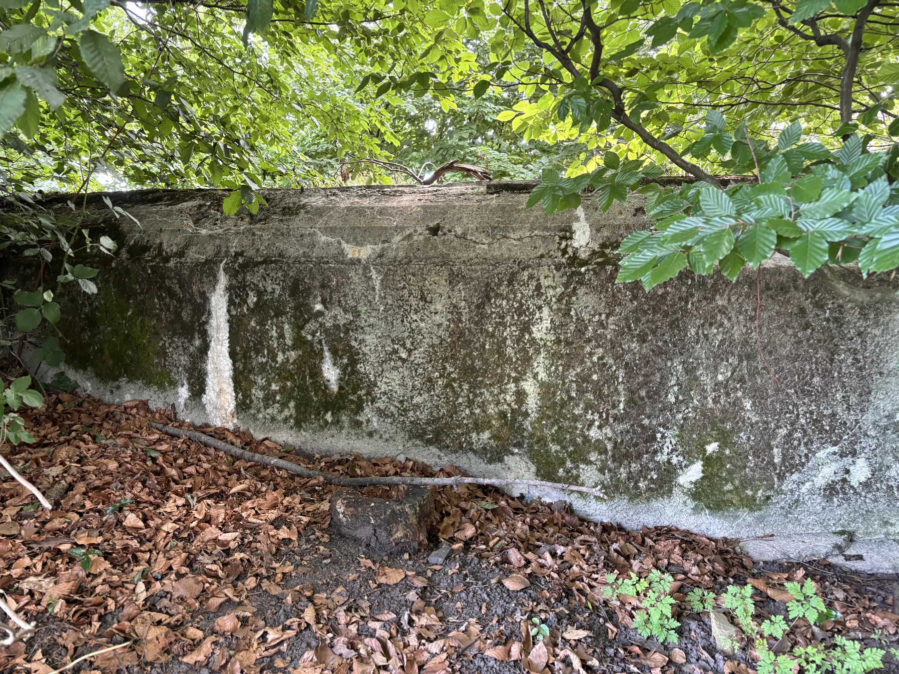 Ligne Maginot - LERCHENBERG SUD - (Blockhaus pour canon) - Le coté nord du blockhaus partiellement remblayé