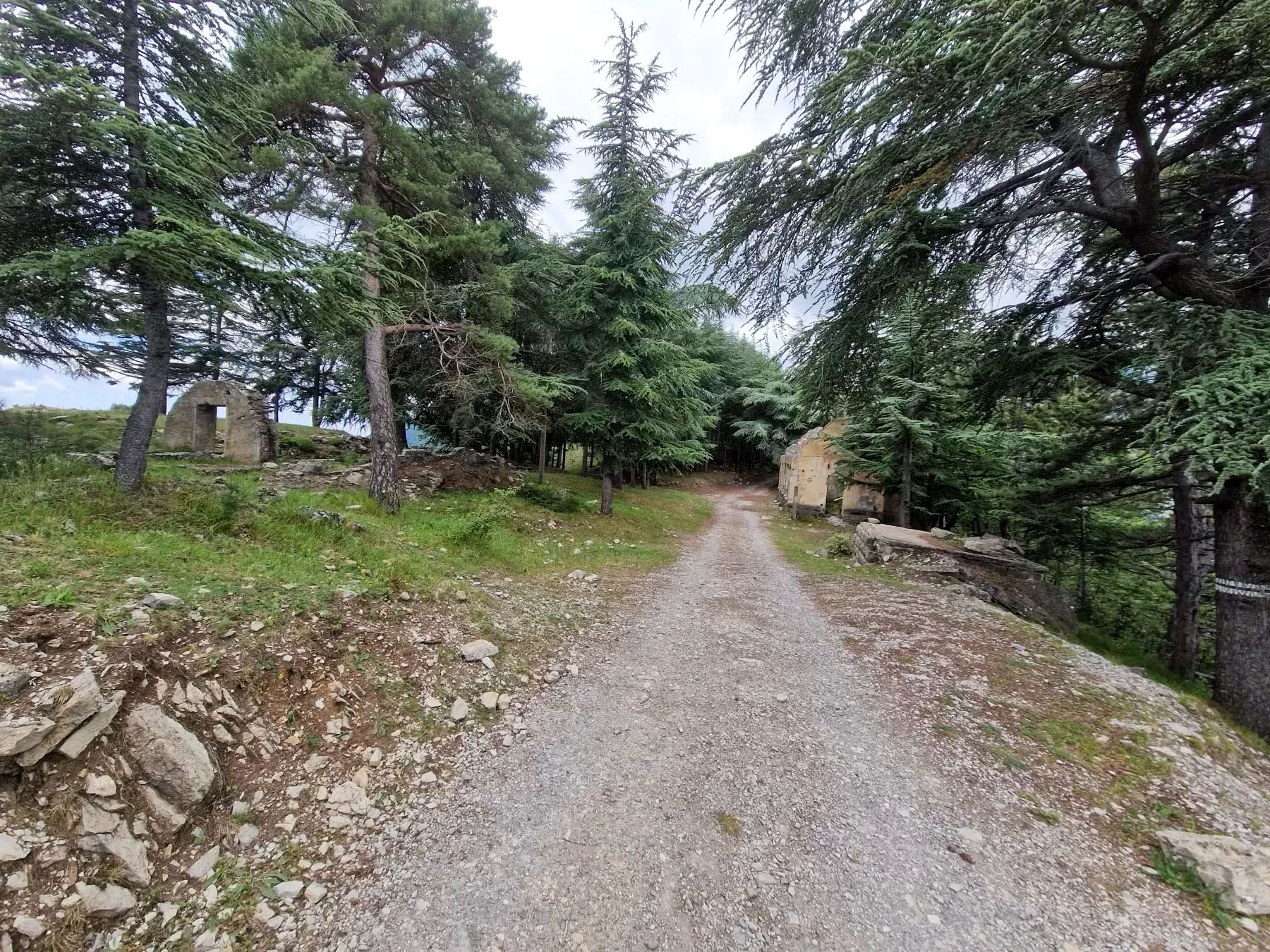 Ligne Maginot - CROIX DE COUGOULE - (Casernement) - A gauche le reste de l'abri métro, à droite le casernement.